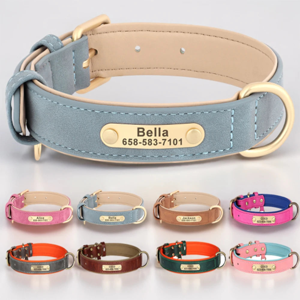 Gepersonaliseerde hondenhalsband